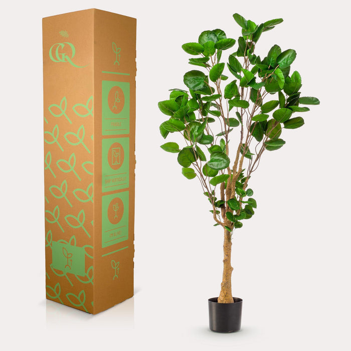 kunstplant-polyscias-aralia-150-cm