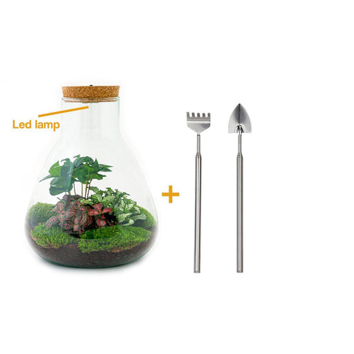 diy-terrarium-sam-coffea-met-lamp-↕-30-cm-rake-shovel