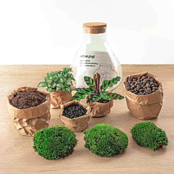 diy-terrarium-sammie-↕-27-cm