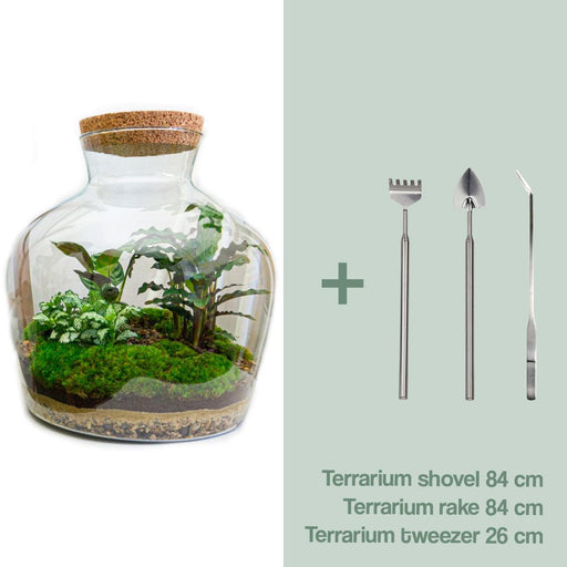 diy-terrarium-fat-joe-↕-30-cm-rake-shovel-tweezer