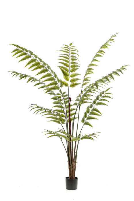 kunstplant-rumohra-adiantiformis-ledervaren-180-cm