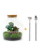 diy-terrarium-fat-joe-coffea-↕-30-cm-rake-shovel