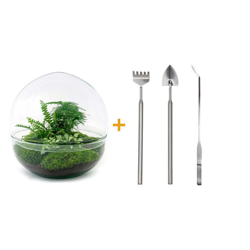 diy-terrarium-dome-xl-↕-30-cm-rake-shovel-tweezer