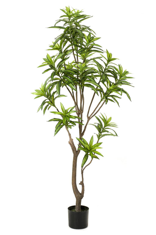 kunstplant-dracaena-drakenboom-155-cm