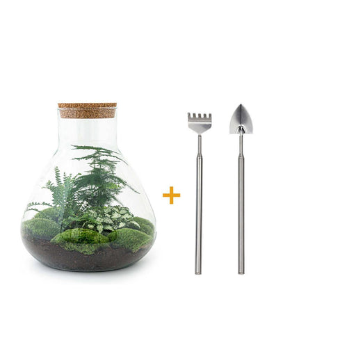 diy-terrarium-sam-xl-↕-35-cm-rake-shovel