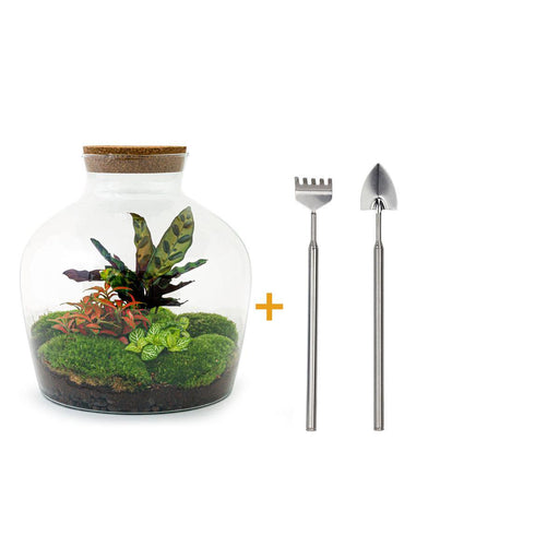 diy-terrarium-fat-joe-rood-↕-30-cm-rake-shovel