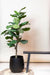 kunstplant-ficus-lyrata-tabaksplant-125-cm