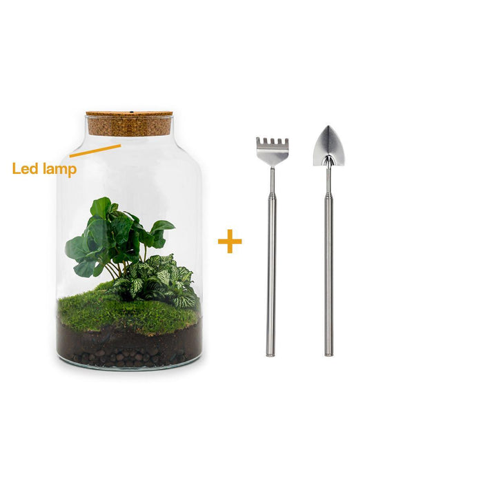 diy-terrarium-milky-coffea-met-lamp-↕-31-cm-rake-shovel