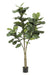 kunstplant-ficus-lyrata-tabaksplant-180-cm