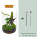 diy-terrarium-botanical-sven-xl-↕-43-cm-normal