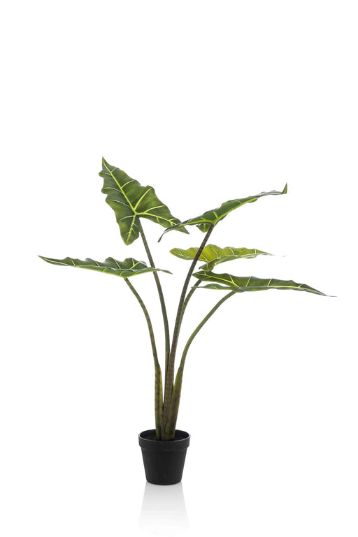 kunstplant-alocasia-frydek-olifantsoor-80-cm