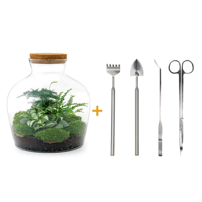 diy-terrarium-fat-joe-groen-↕-30-cm-rake-shovel-tweezer-scissors