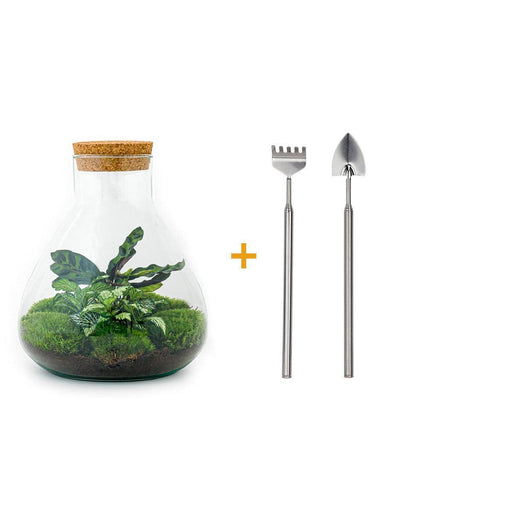 diy-terrarium-sammie-↕-27-cm-rake-shovel