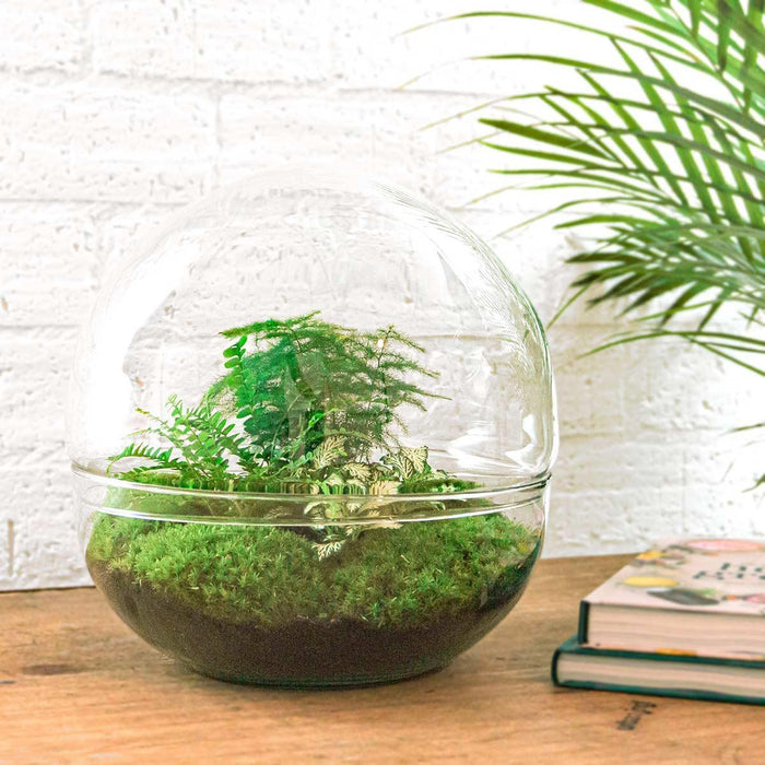 diy-terrarium-dome-xl-↕-30-cm-rake-shovel-tweezer-scissors