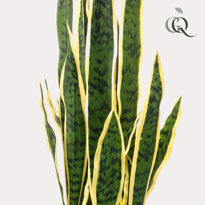 kunstplant-sanseveria-trifasciata-vrouwentong-97-cm