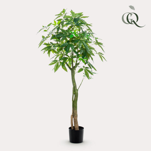 kunstplant-pachira-aquatica-geldboom-150-cm