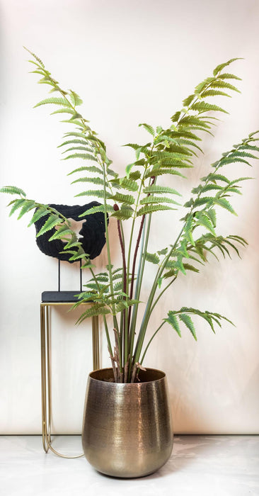 kunstplant-rumohra-adiantiformis-ledervaren-150-cm