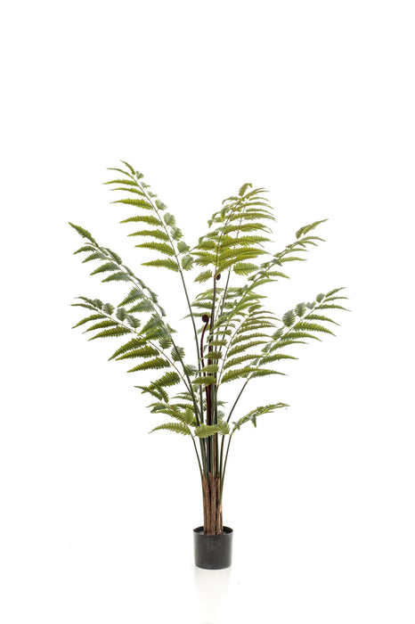 kunstplant-rumohra-adiantiformis-ledervaren-150-cm