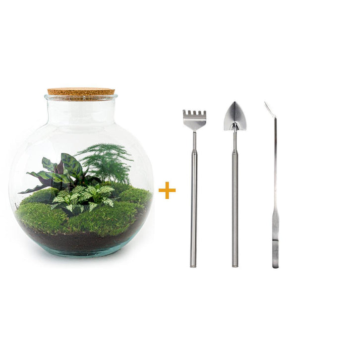 diy-terrarium-bolder-bob-↕-30-cm-rake-shovel-tweezer