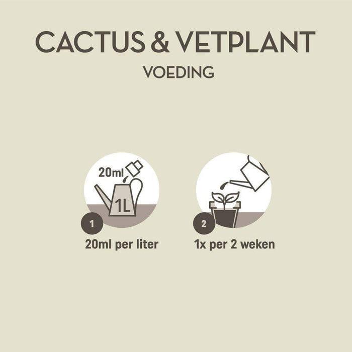 pokon-cactus-vetplant-250ml-voeding