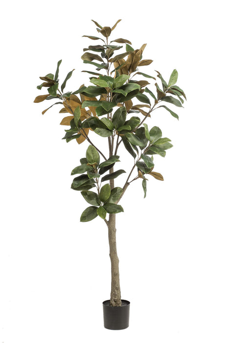 kunstplant-180-cm-magnolia-grandiflora