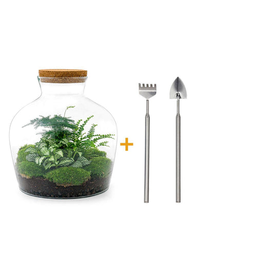 diy-terrarium-fat-joe-groen-↕-30-cm-rake-shovel