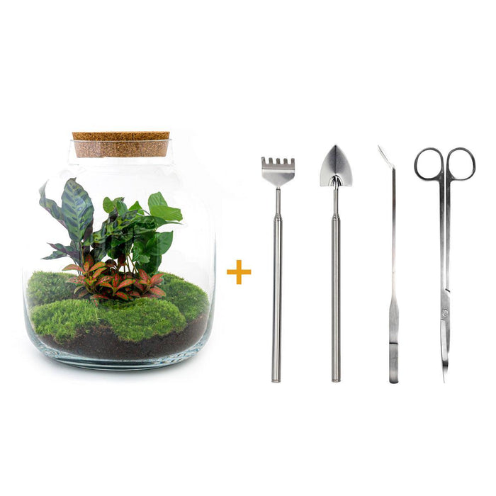 diy-terrarium-billie-botanical-↕-30-cm-rake-shovel-tweezer-scissors