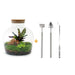 diy-terrarium-fat-joe-rood-↕-30-cm-rake-shovel-tweezer