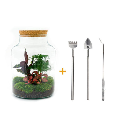 diy-terrarium-milky-↕-30-cm-rake-shovel-tweezer