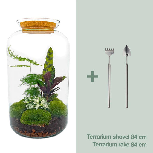 diy-terrarium-botanical-sven-xl-↕-43-cm-rake-shovel