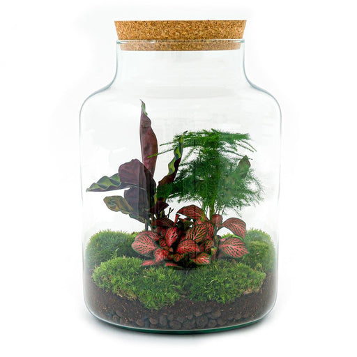 diy-terrarium-milky-↕-30-cm-rake-shovel-tweezer