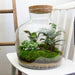 diy-terrarium-fat-joe-↕-30-cm-rake-shovel