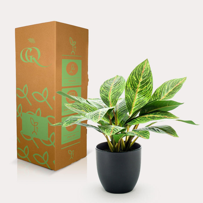 kunstplant-croton-codiaeum-wonderstruik-38-cm