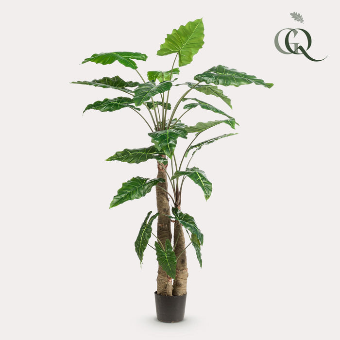 kunstplant-alocasia-olifantsoor-180-cm