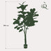 kunstplant-ficus-lyrata-tabaksplant-180-cm