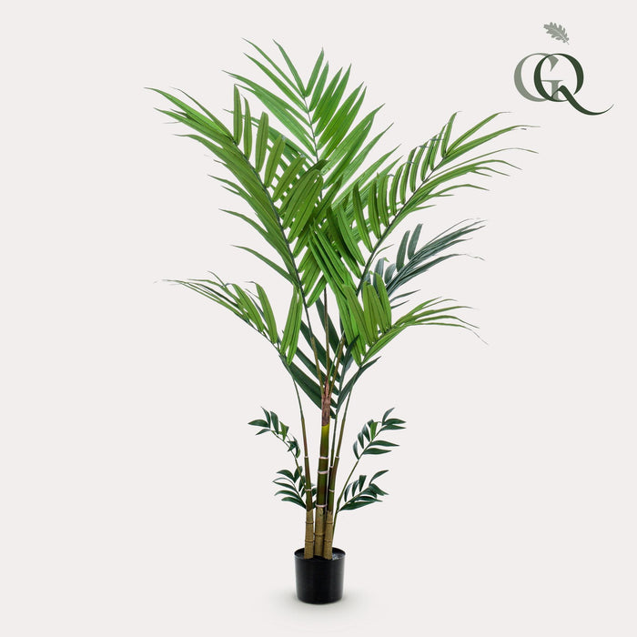 kunstplant-kentia-kentiapalm-180-cm