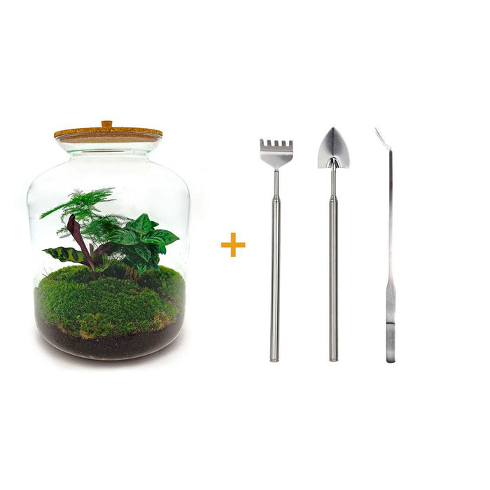 diy-terrarium-lukas-↕-33-cm-rake-shovel-tweezer