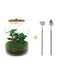 diy-terrarium-lukas-↕-33-cm-rake-shovel