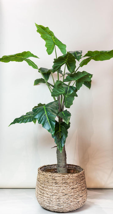 kunstplant-alocasia-olifantsoor-150-cm