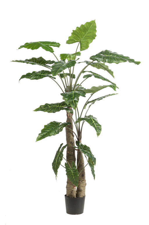 kunstplant-alocasia-olifantsoor-180-cm