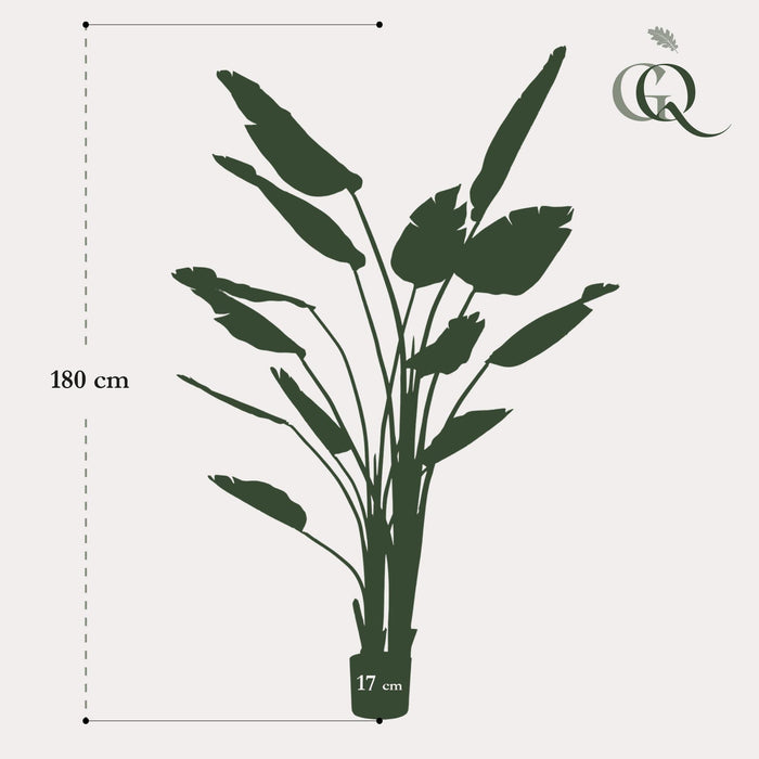 kunstplant-strelitzia-nicolai-paradijsvogelbloem-180-cm