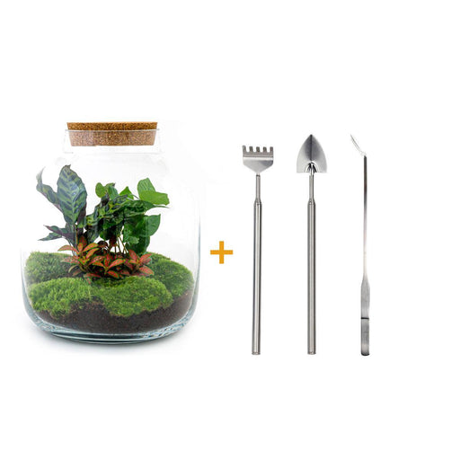 diy-terrarium-billie-botanical-↕-30-cm-rake-shovel-tweezer