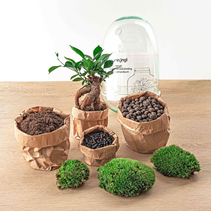 diy-terrarium-egg-bonsai-↕-25-cm