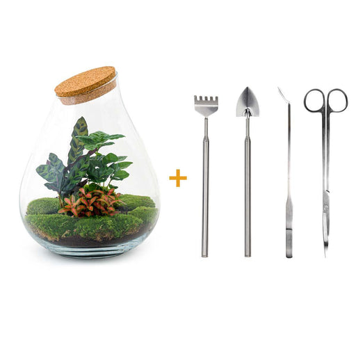 diy-terrarium-drop-xl-rood-↕-37-cm-rake-shovel-tweezer-scissors