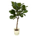 ficus-lyrata-stam-inclusief-elho-greenville-round-wit-160-cm-o30