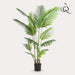 kunstplant-160-cm-howea-forsteriana