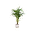 combi-deal-areca-palm-inclusief-elho-jazz-round-wit-o26-140-cm