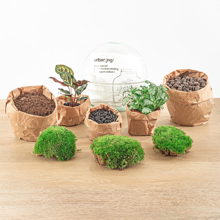 diy-terrarium-dome-↕-20-cm-normal