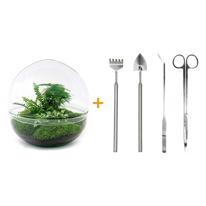 diy-terrarium-dome-xl-↕-30-cm-rake-shovel-tweezer-scissors