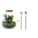 diy-terrarium-billie-botanical-↕-30-cm-rake-shovel